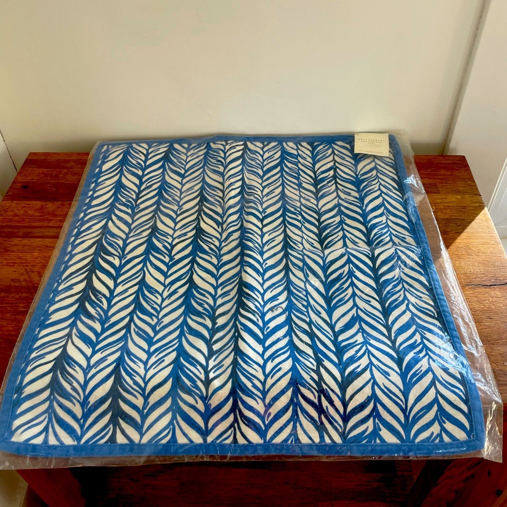 Pottery barn blue braid pillow cover